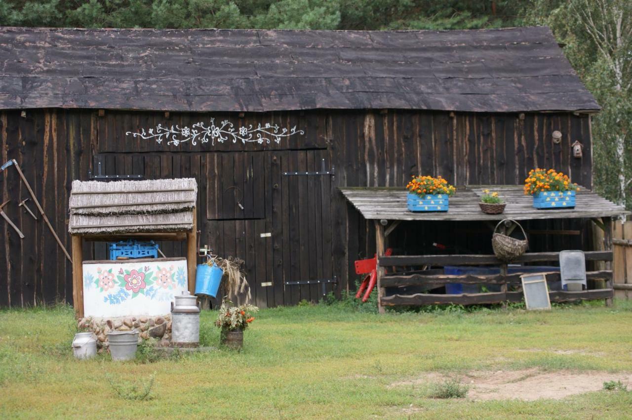 Zagroda Zalipie Gostynin Dış mekan fotoğraf