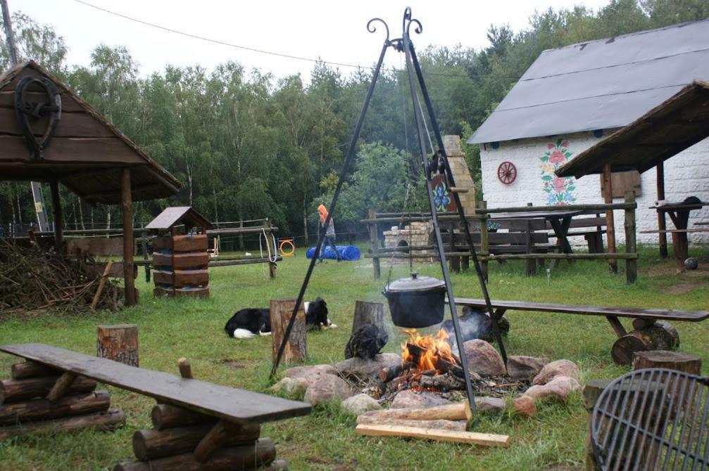 Zagroda Zalipie Gostynin Dış mekan fotoğraf