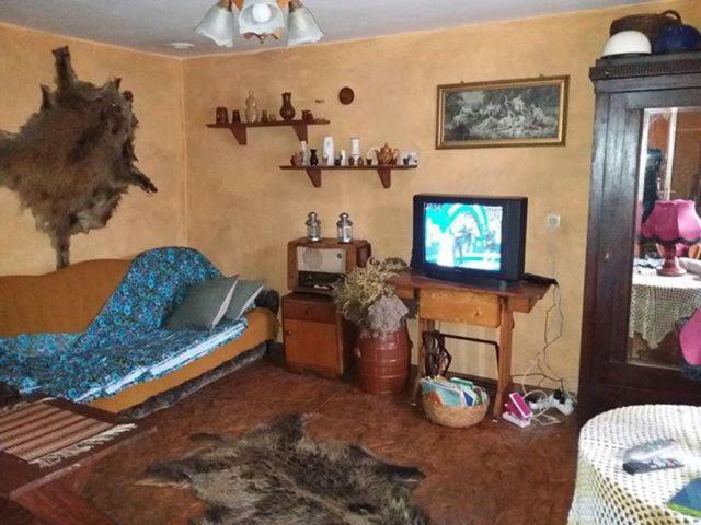 Zagroda Zalipie Gostynin Dış mekan fotoğraf
