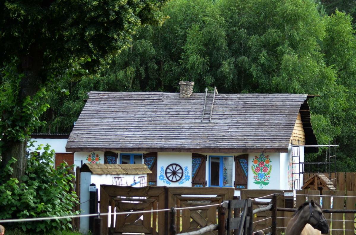 Zagroda Zalipie Gostynin Dış mekan fotoğraf